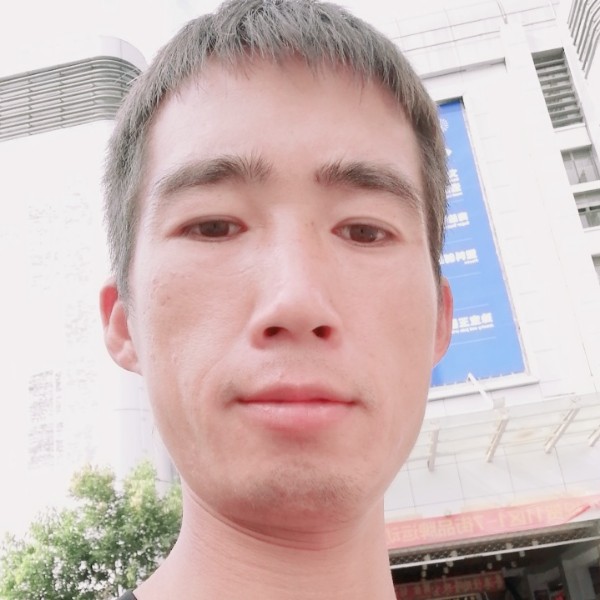 含羞草有痴情的照片
