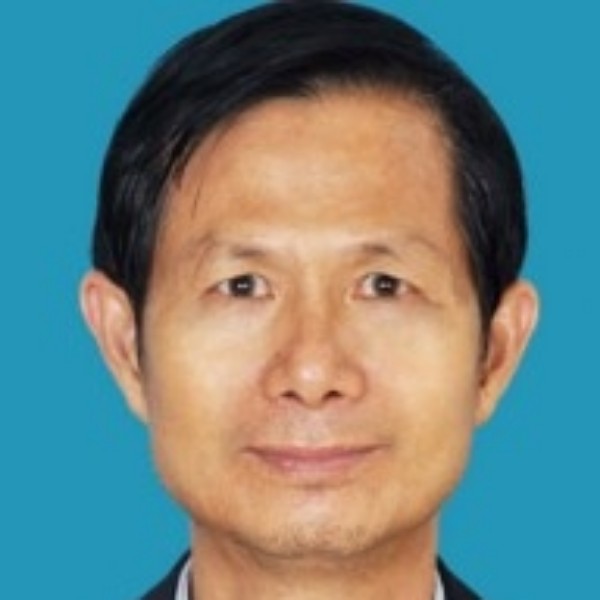 小鸭子一个人的照片