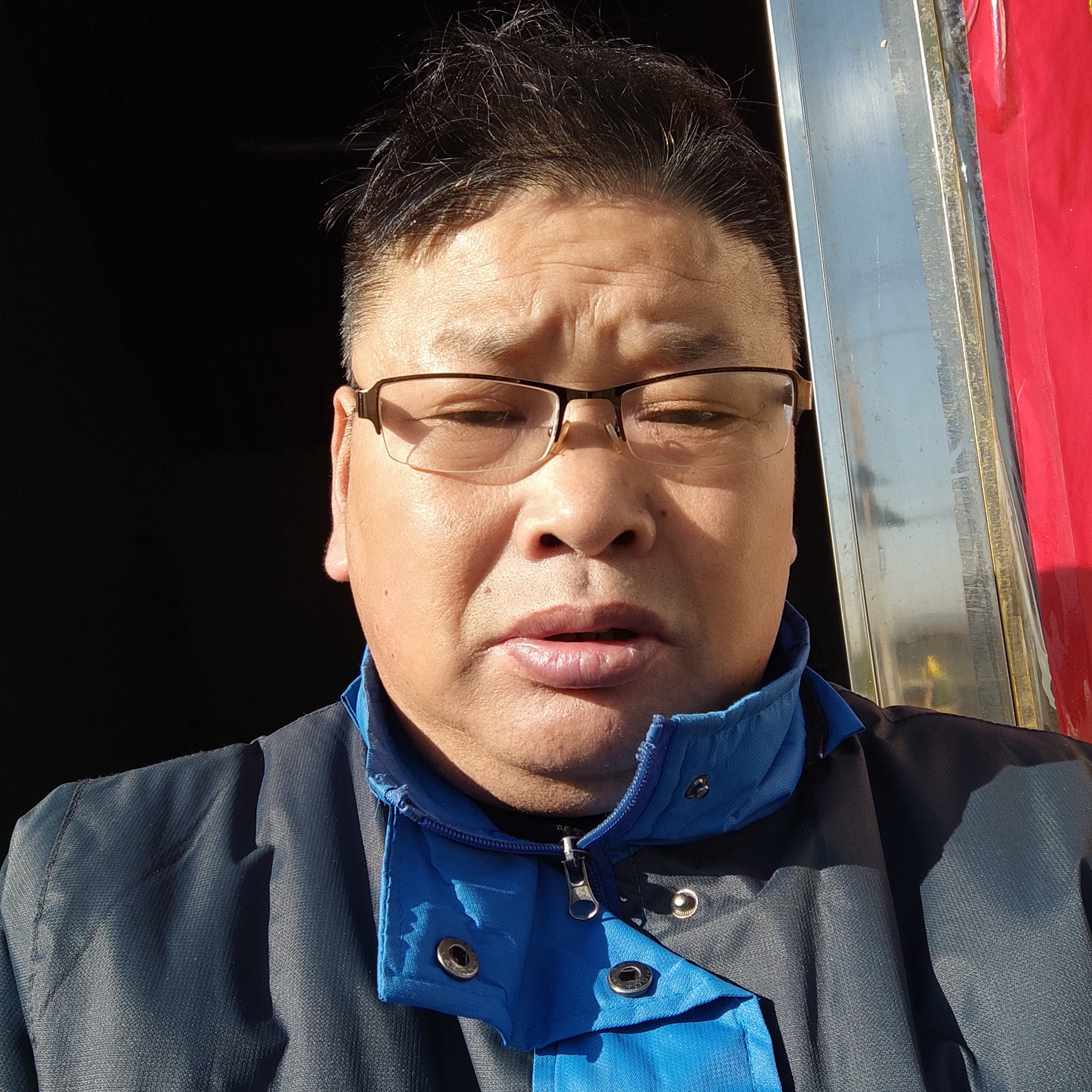黄蜂浅吻迅速的照片