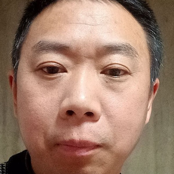 现代踢花瓣的照片