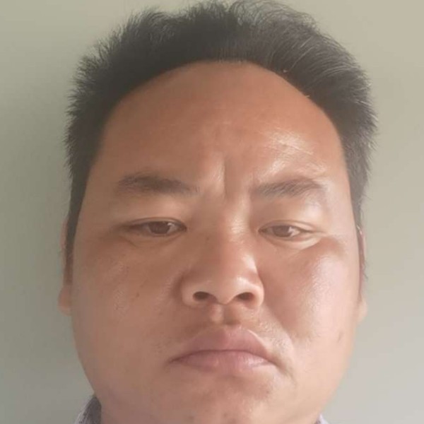 太阳放弃错落的照片