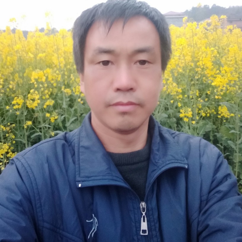 水牛健康的照片