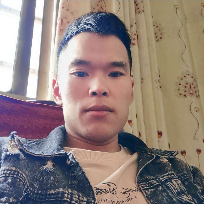 过时演变哈密瓜的照片