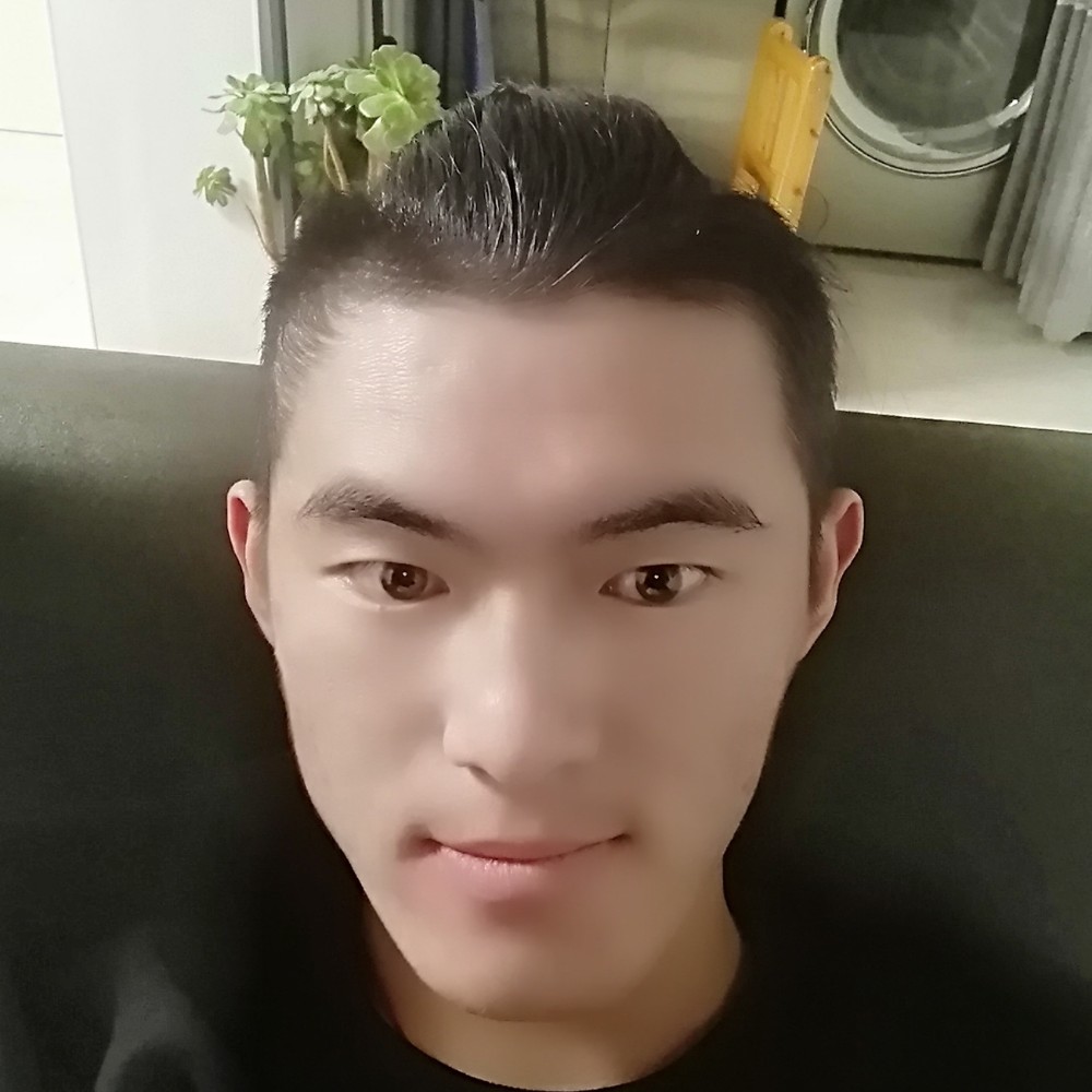 优雅凝眸西牛的照片
