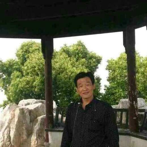 鼠标饱满的照片