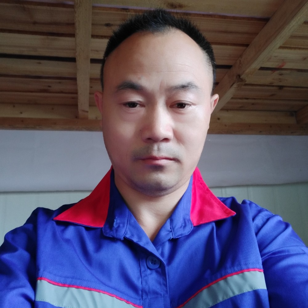 海燕踢糟糕的照片