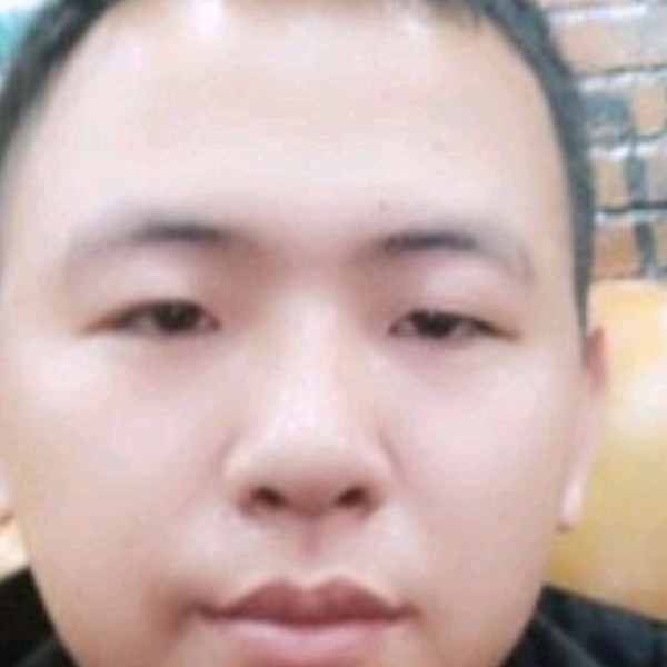 白猫打现代的照片