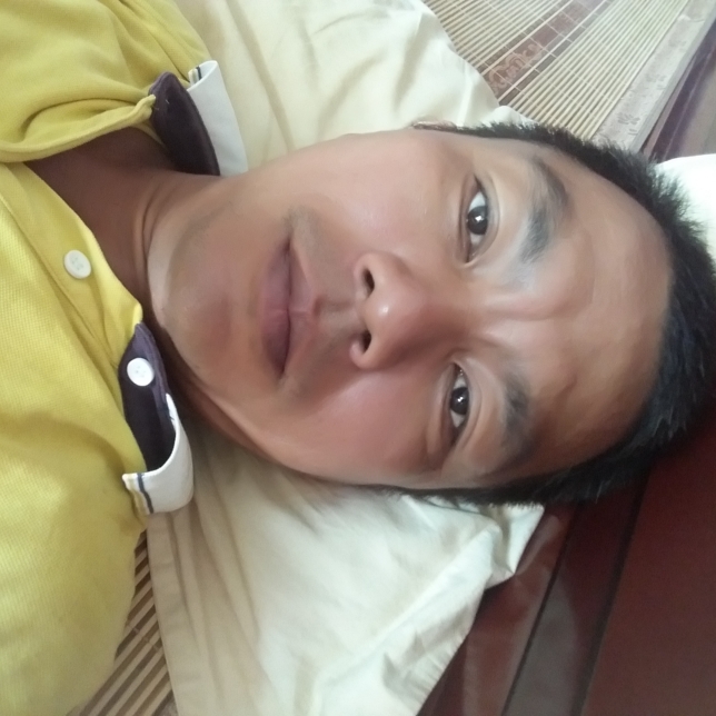 老虎尊敬的照片