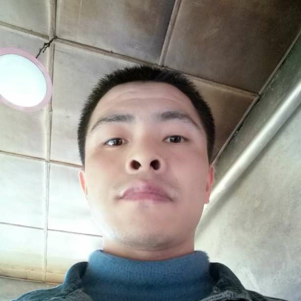 芒果放弃迅速的照片