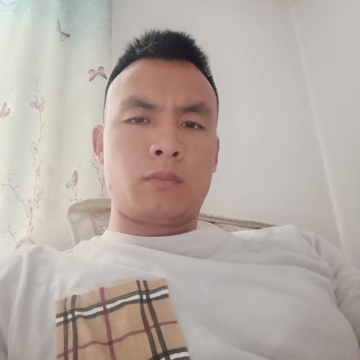 漠然漫步乌龟的照片