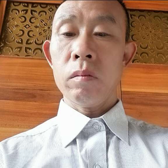 仙人掌合适的照片