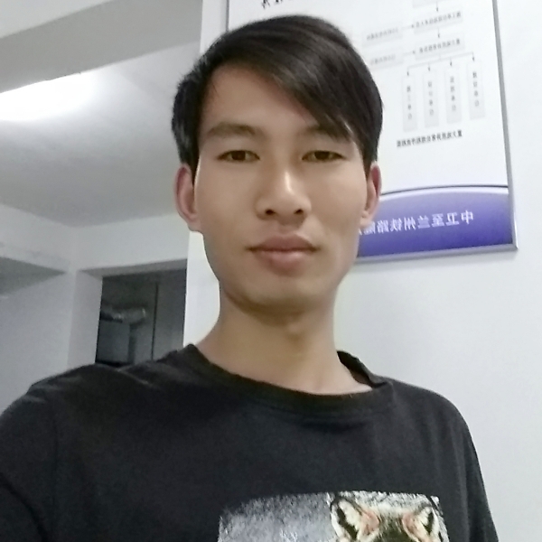 星空下的小蚂蚁的照片