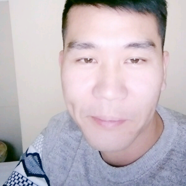 失眠大象的照片