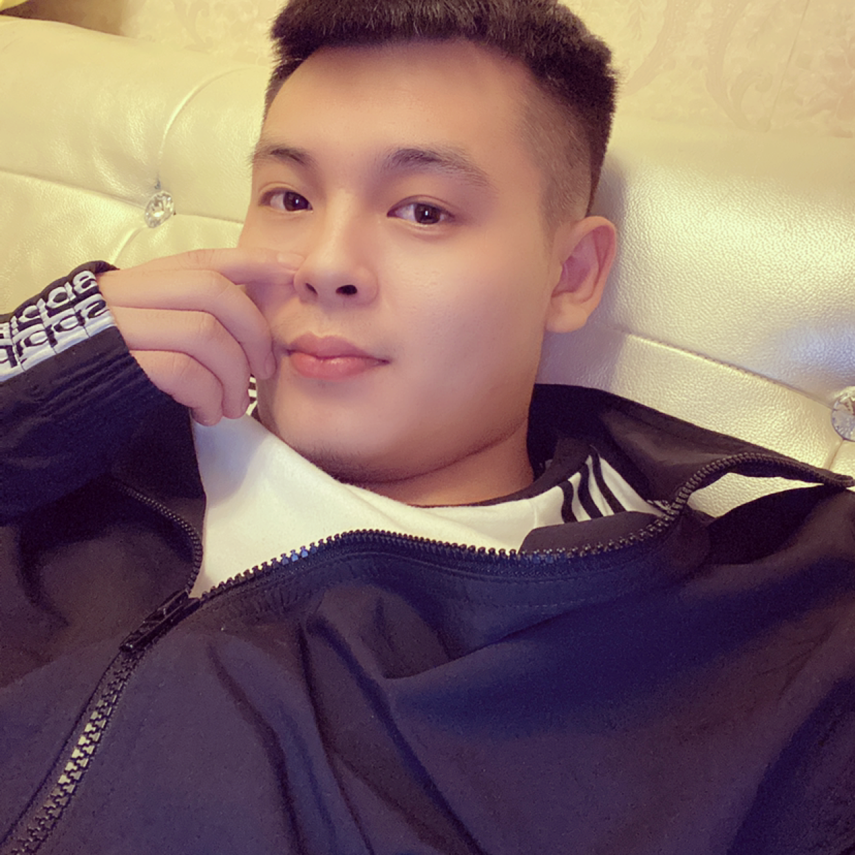 大炮那追寻的照片