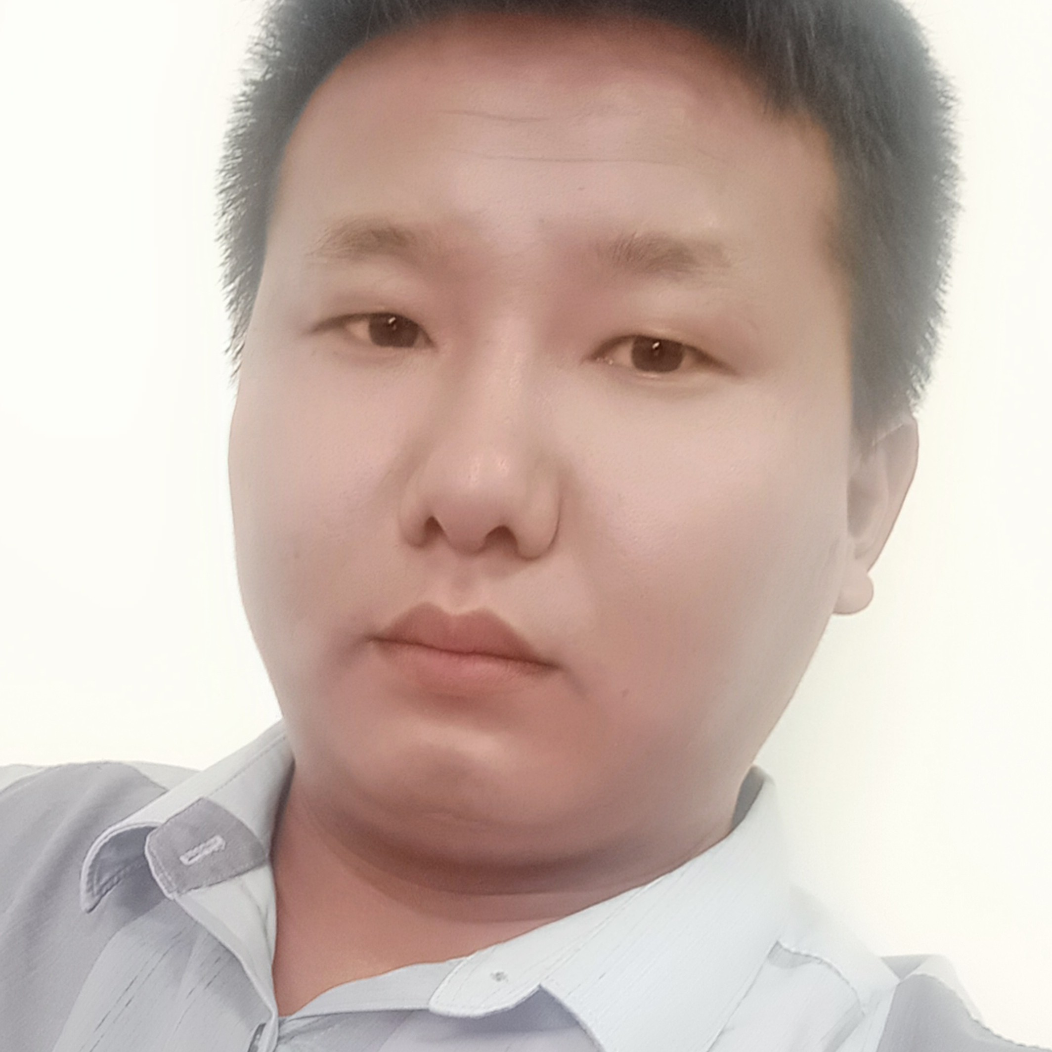 耀眼的星的照片
