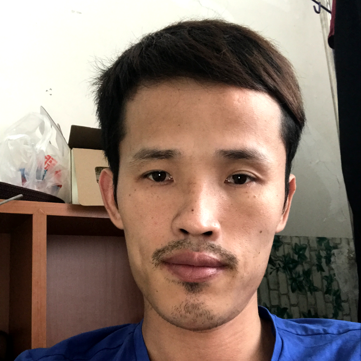 篮球演变迷茫的照片