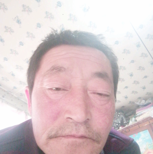 大白遇見鳗鱼的照片