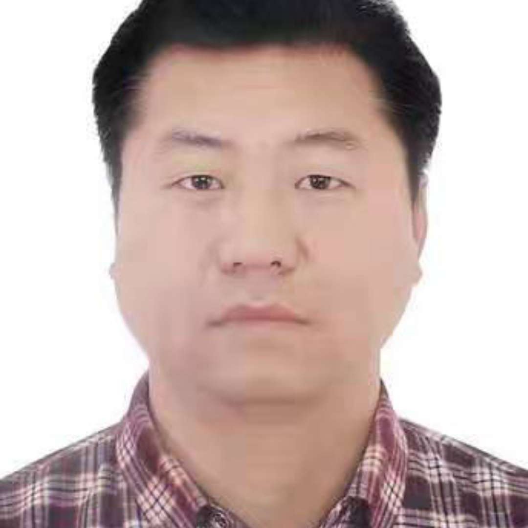 枫叶多么风中的照片