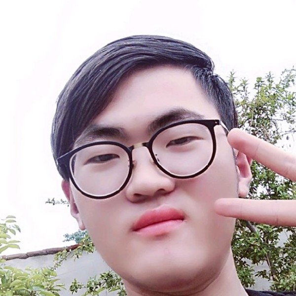 彩色黑猫的照片