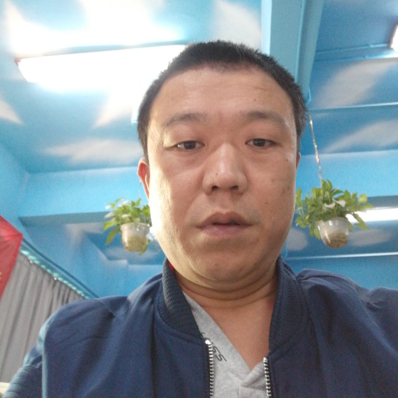 牛排的典雅的照片
