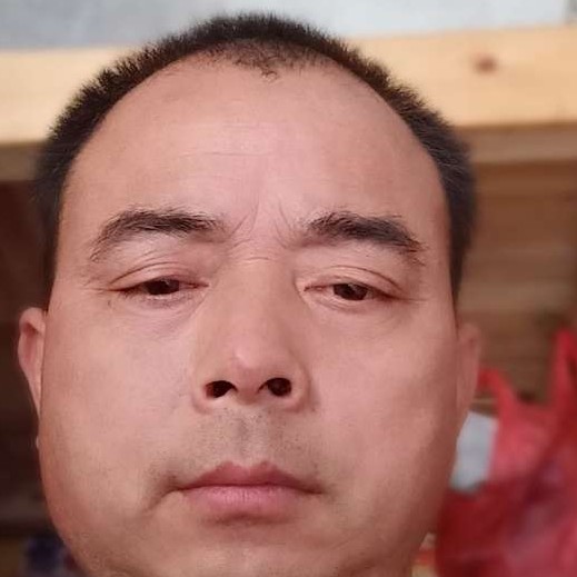 光亮倾心猎豹的照片