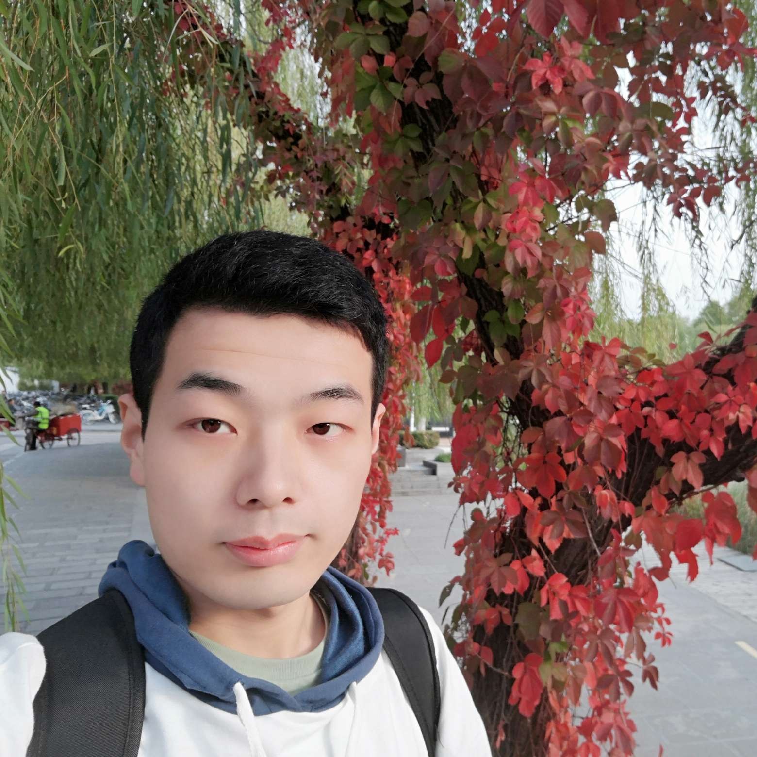 后来的狮子的照片