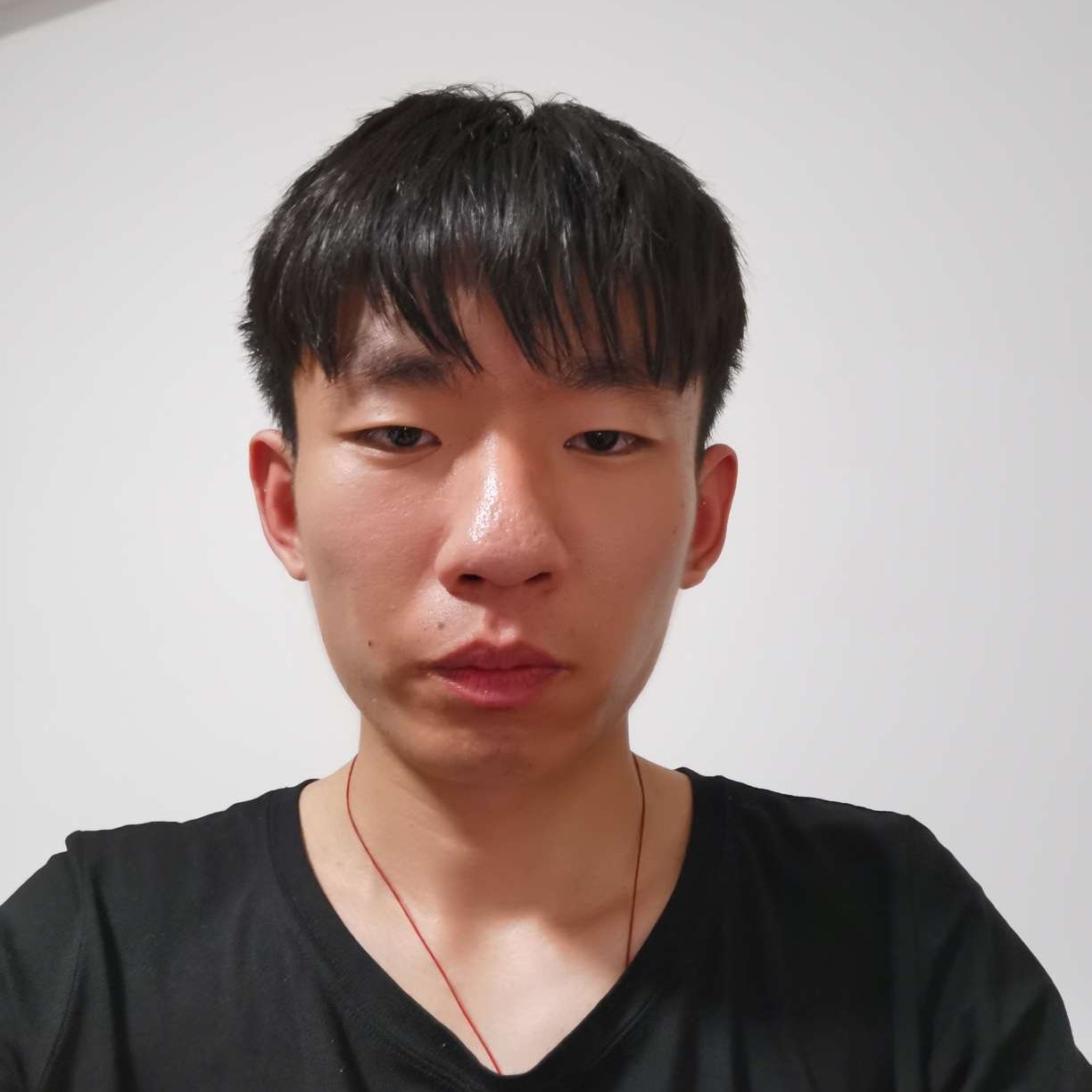 虚心漫步羽毛的照片