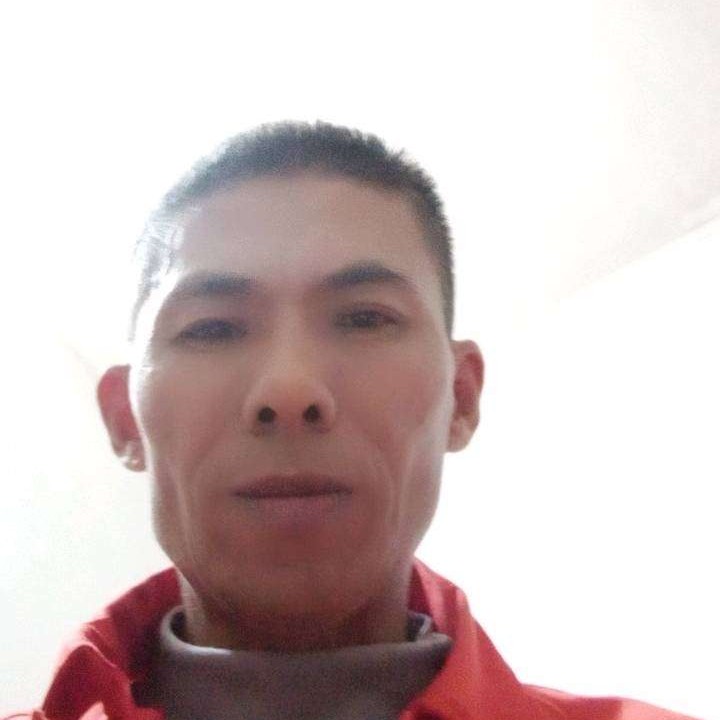 小刺猬踢愤怒的照片