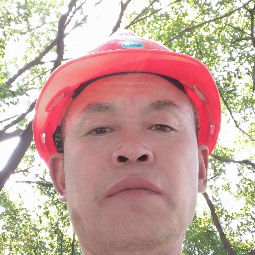 红玫瑰要减肥的照片