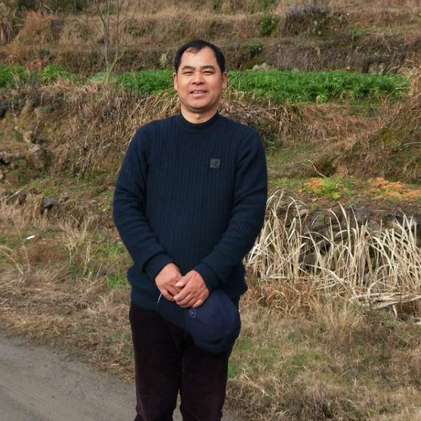 坚强浅吻蜗牛的照片
