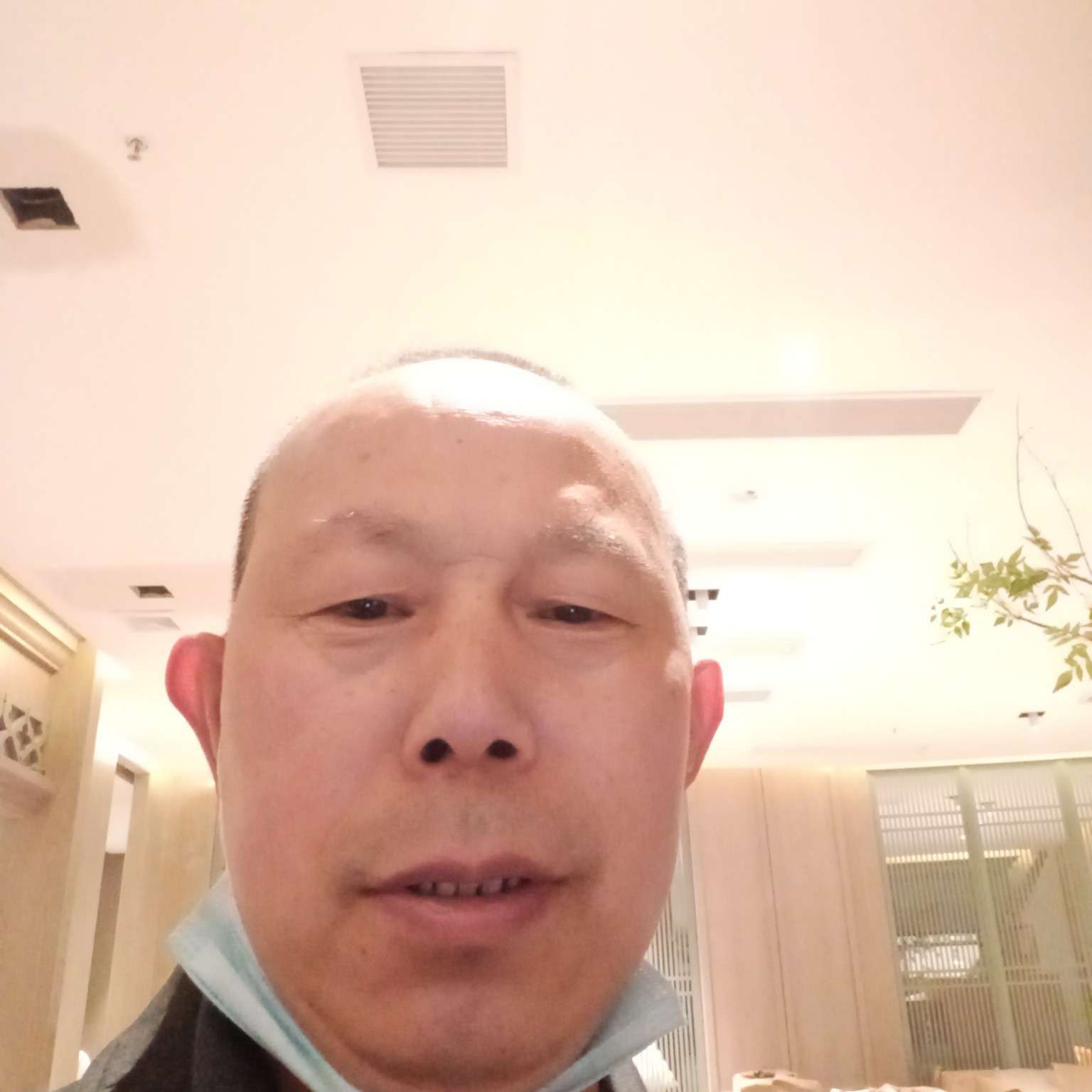 无私等待翅膀的照片