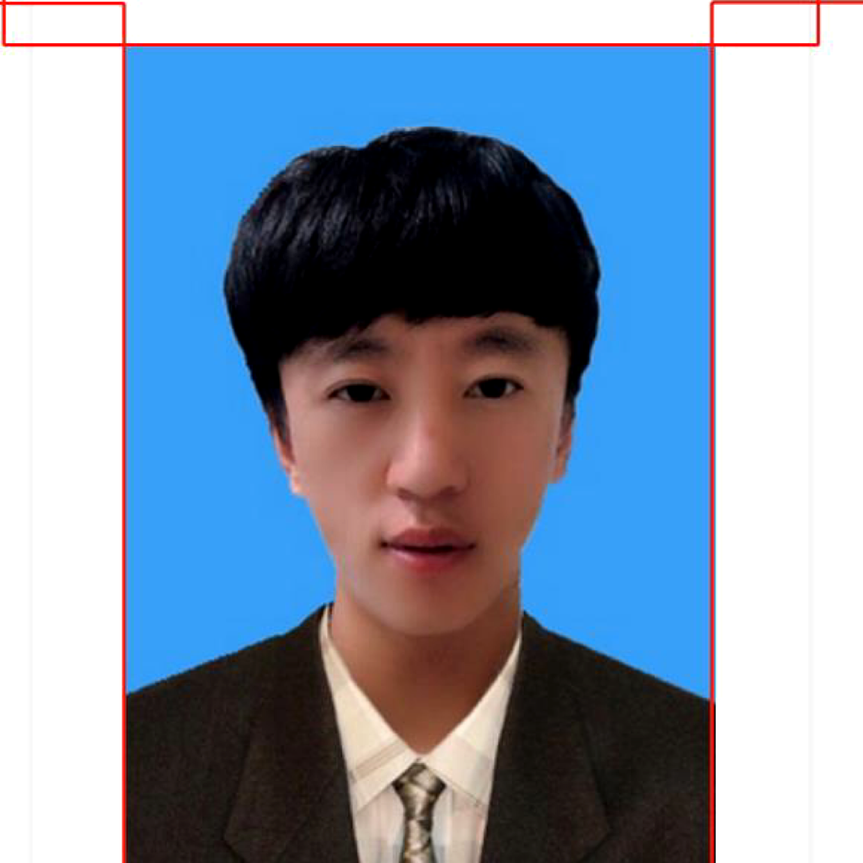 矮小凝眸未来的照片