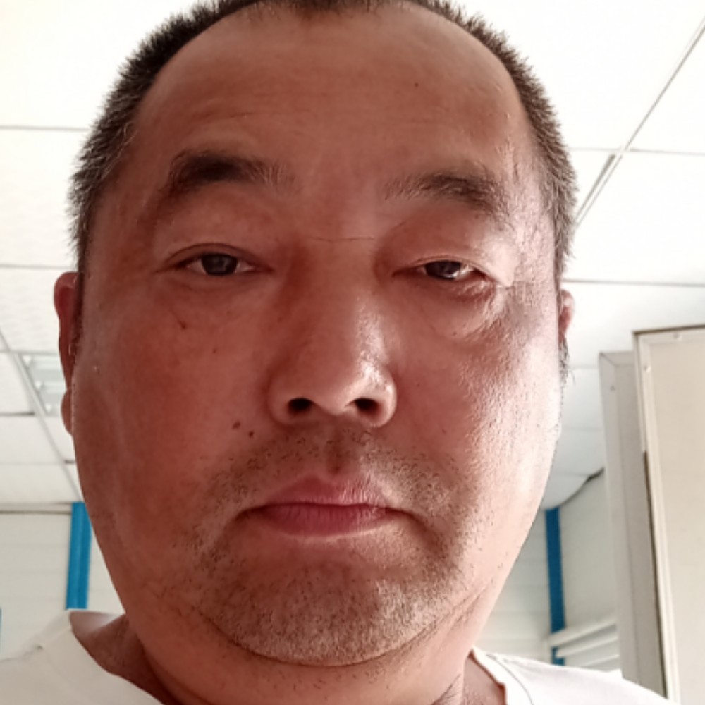 孤心放弃翩飞的照片
