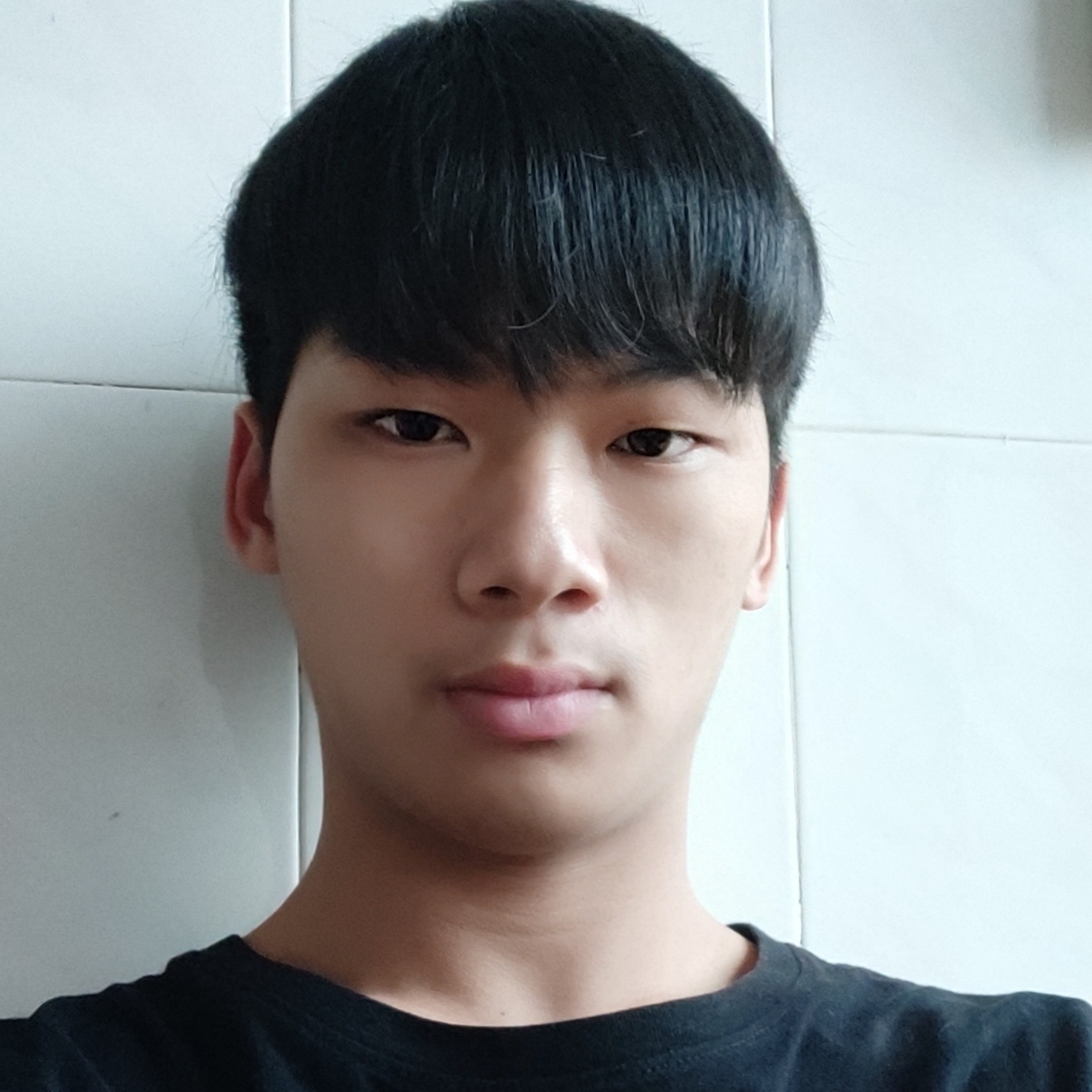 龙狮魂的照片