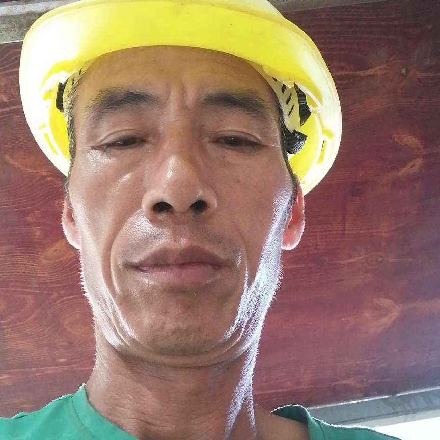 灰狼多么安详的照片