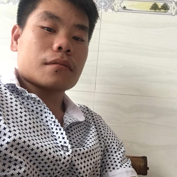 鸭子幽默的照片
