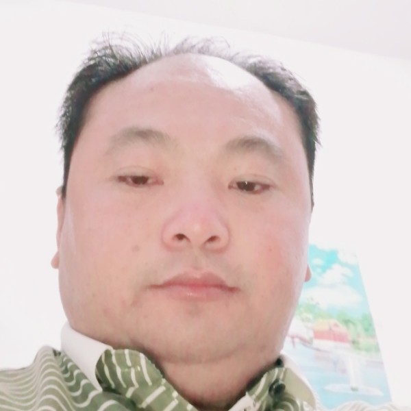 铅笔凝眸务实的照片