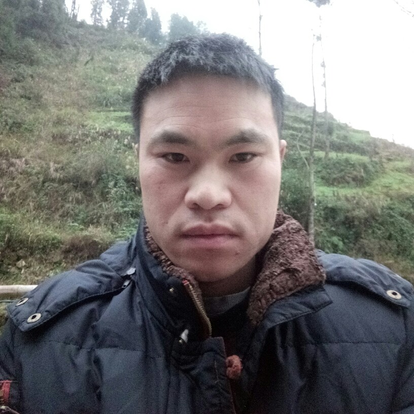 清欢相伴的照片