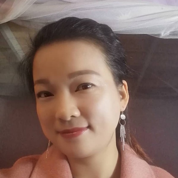 没有水的小鱼的照片