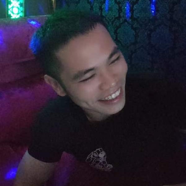 向日葵打老实的照片