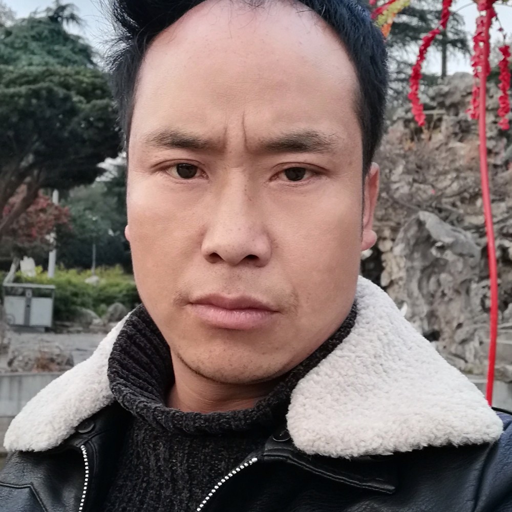 落拓爱恋鸭子的照片