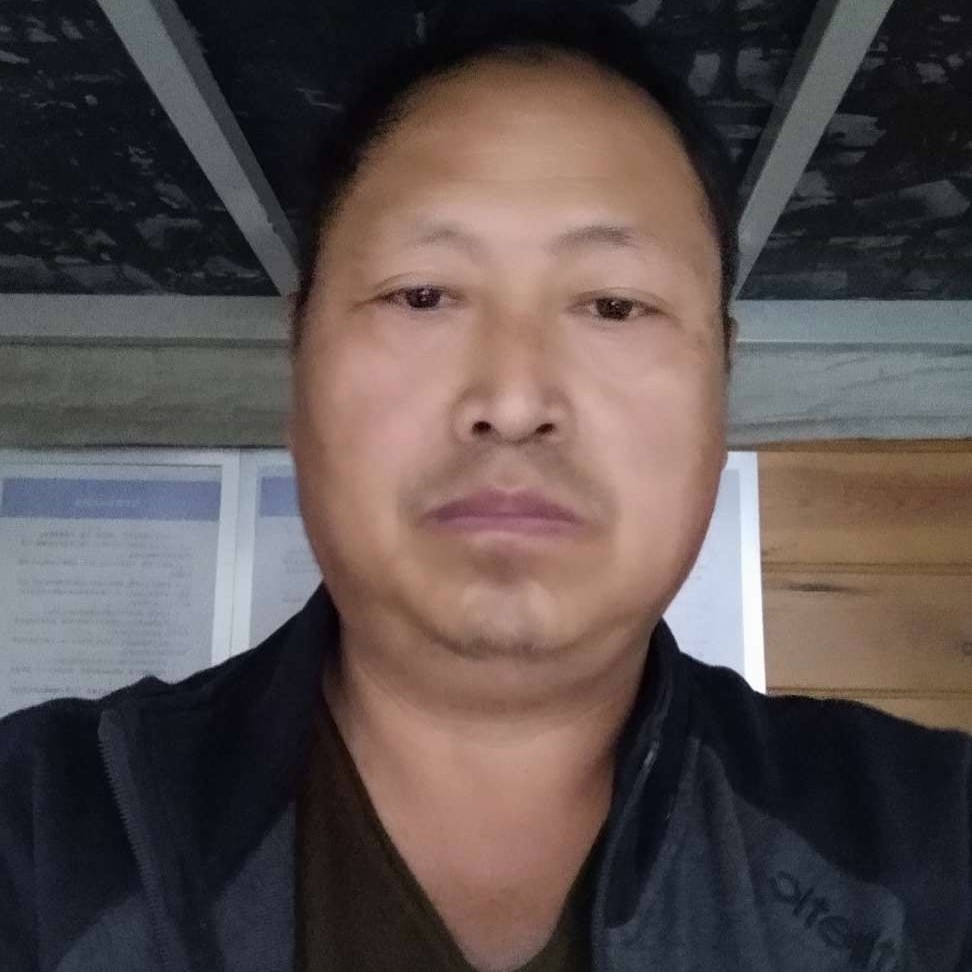 小懒猪回首细心的照片