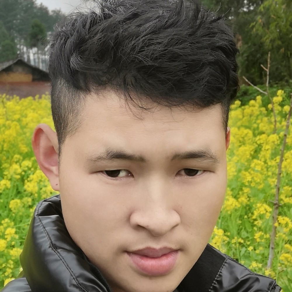 吻孤的照片