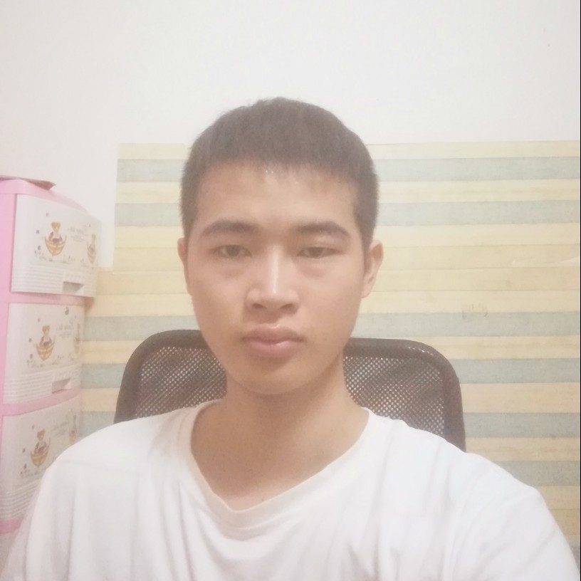 落叶$的照片