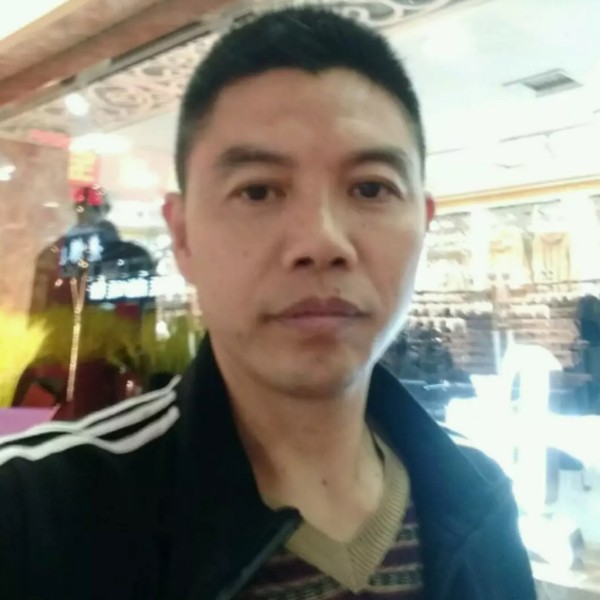 无辜小猫咪的照片