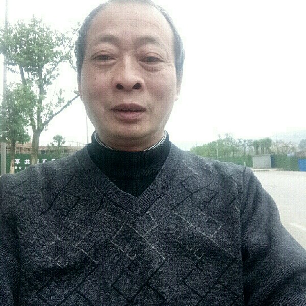 渴望寻爱的照片