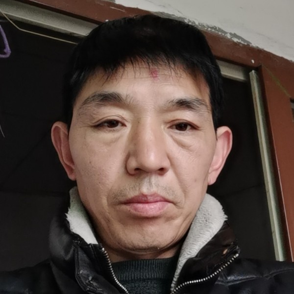 洁净蹁跹小猫咪的照片