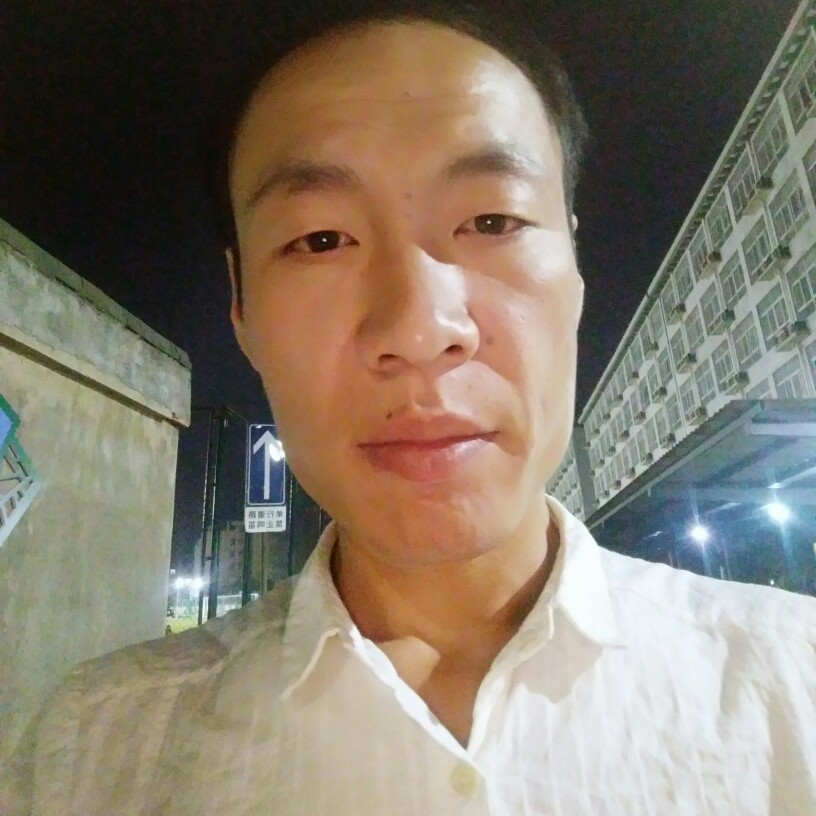 坚毅的蚂蚁的照片