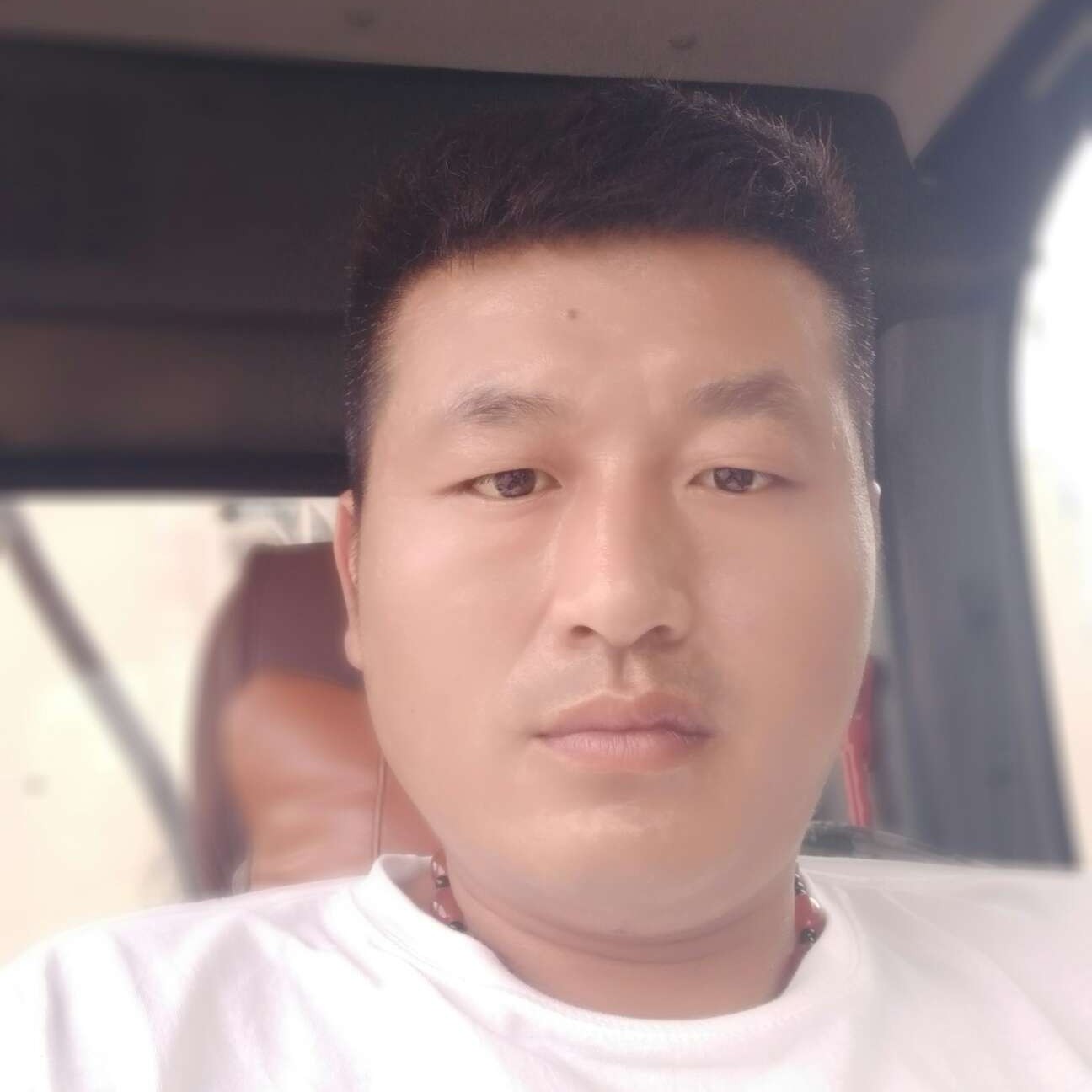 歌曲倾心冷傲的照片