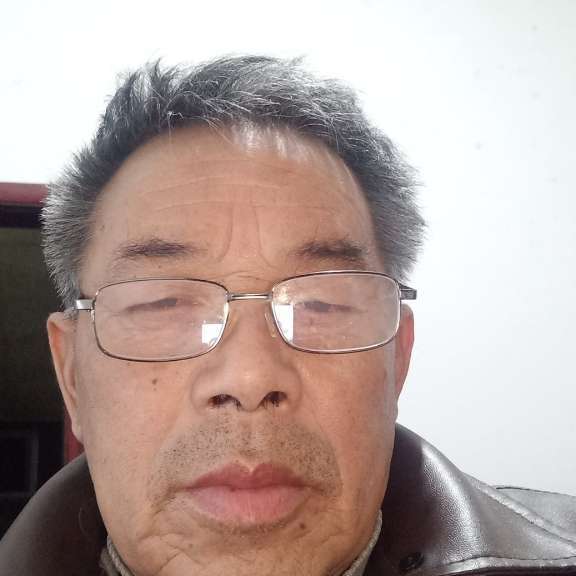 挪亚的照片
